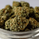 Granddaddy Purple marijuana