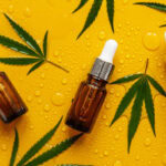 Cannabis terpenes