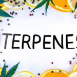Terpenes