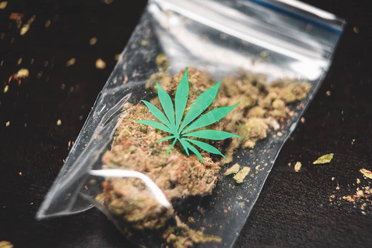 Dry form of Weed