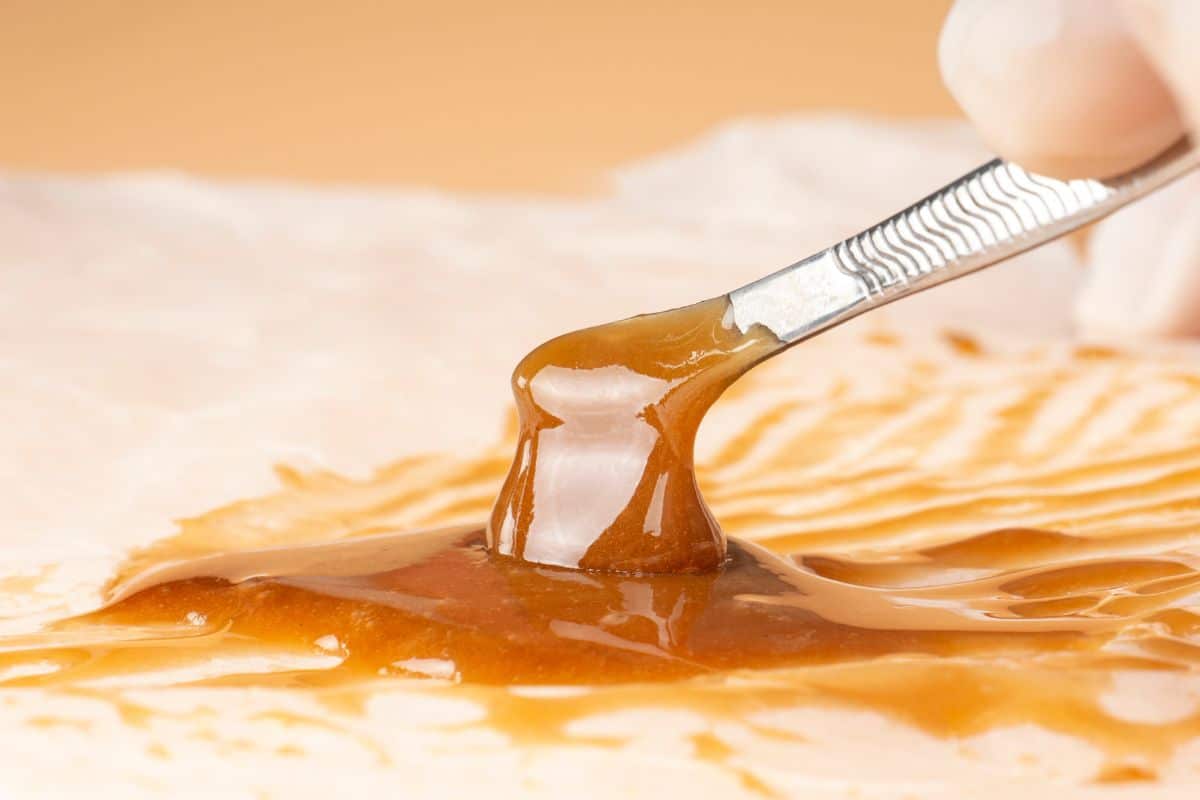 Fake live resin being checked by authorities for legality. Fake live resin being checked by authorities for legality.