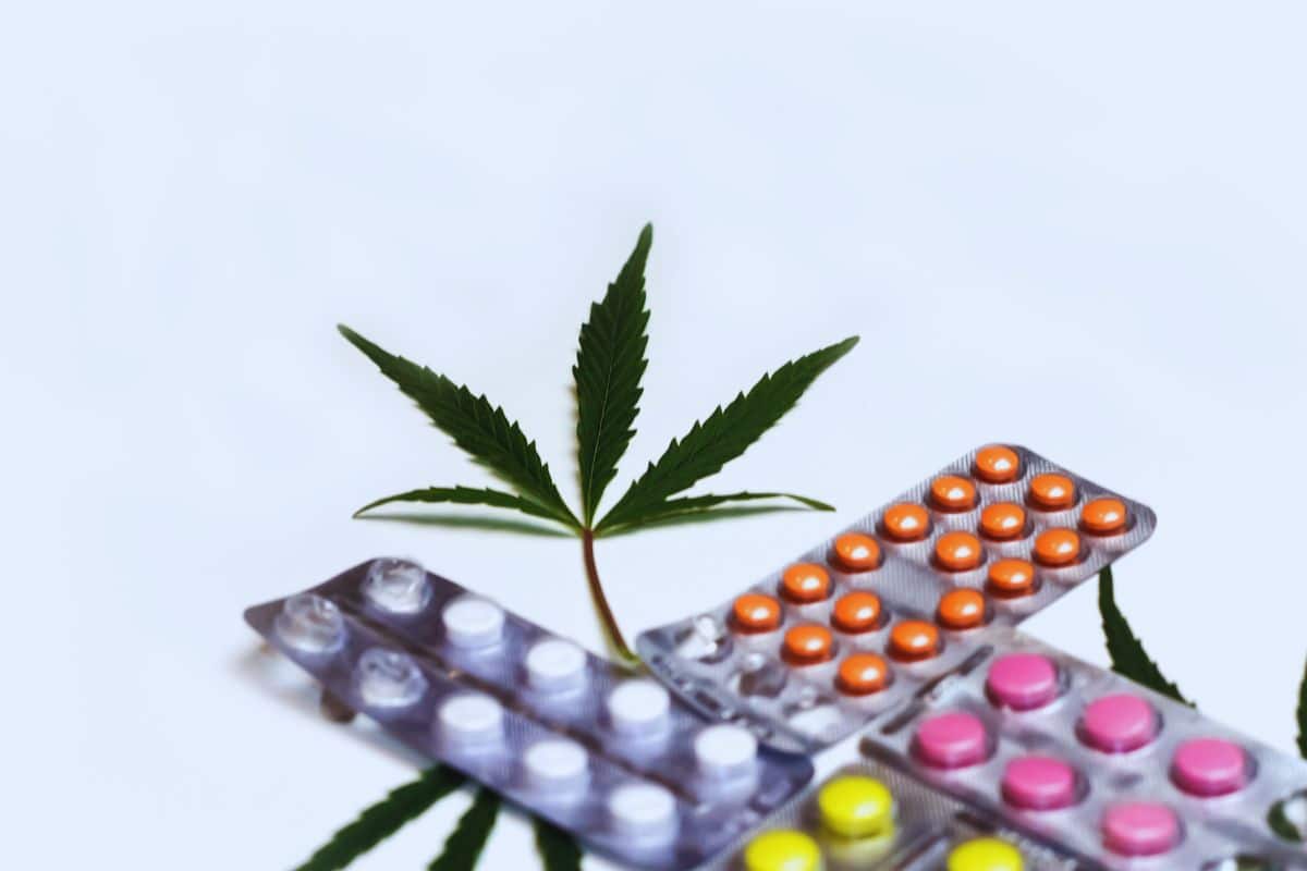 Vyvanse and Weed Vyvanse and Weed