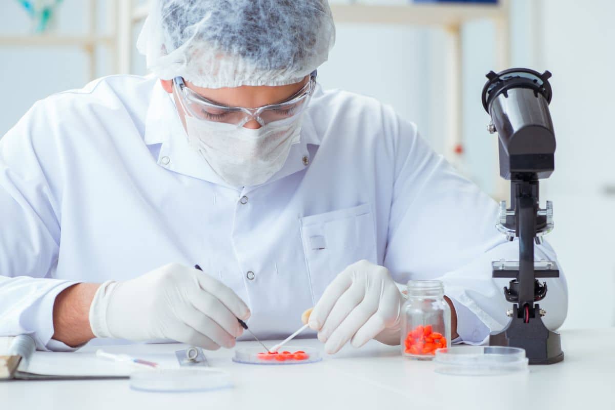 A guy testing Delta 8 Gummies in a lab for drug test A guy testing Delta 8 Gummies in a lab for drug test