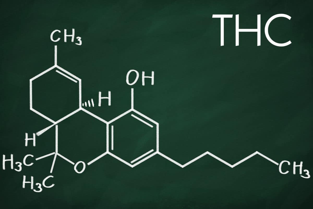 THC chemical structure THC chemical structure