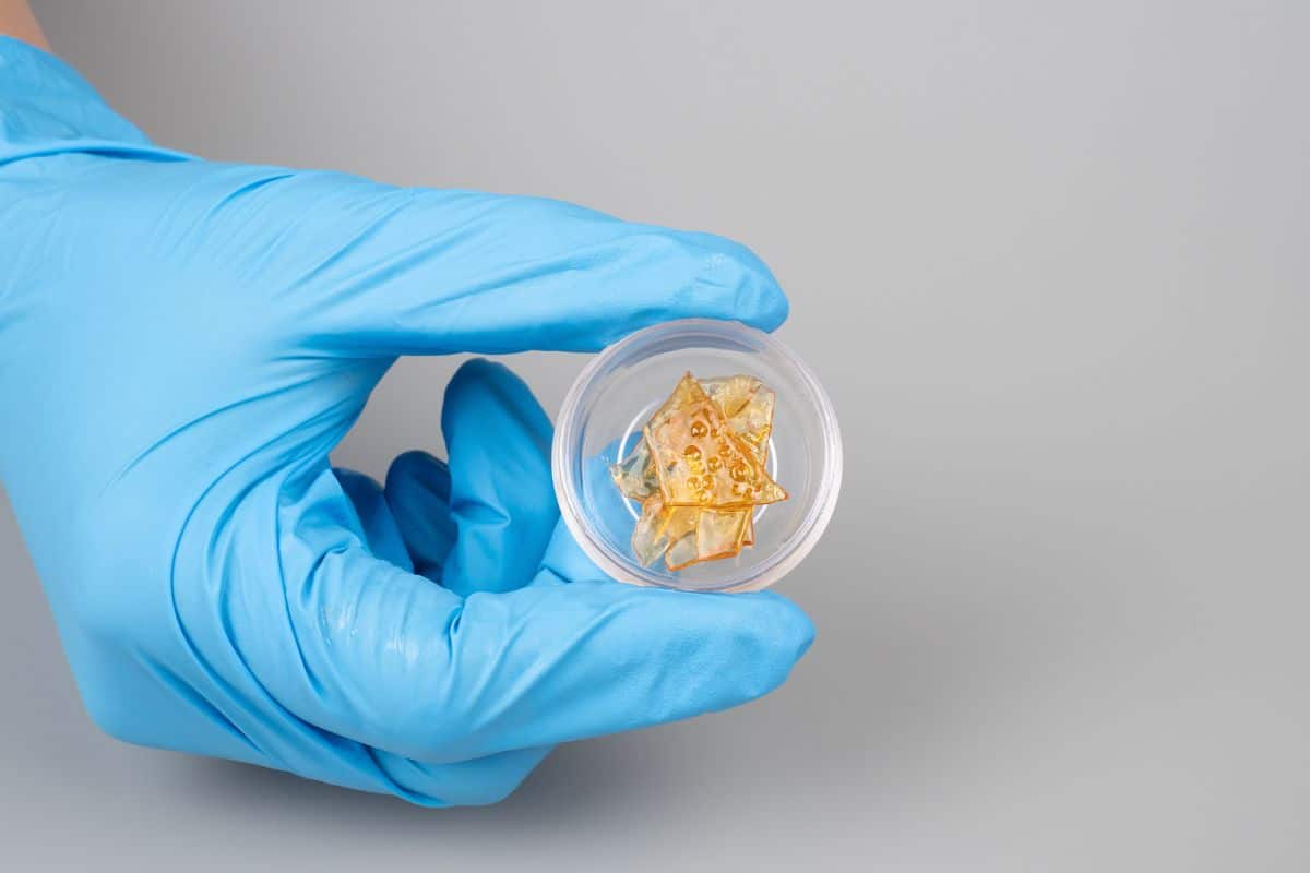A person holding hash rosin.