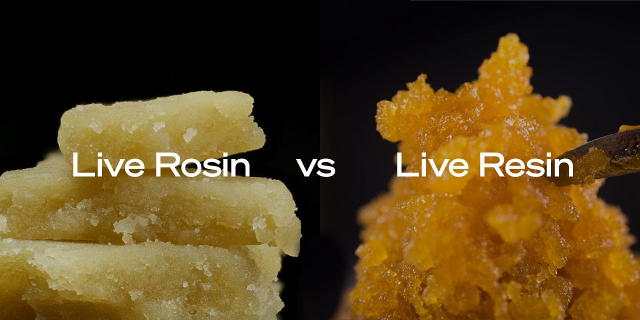 Comparison of live hash rosin and live rosin.