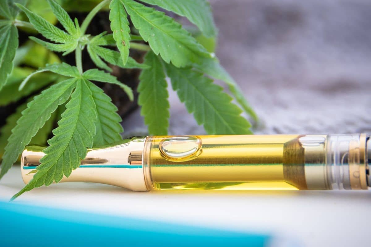 Cannabis leaves and vape pen cartridge