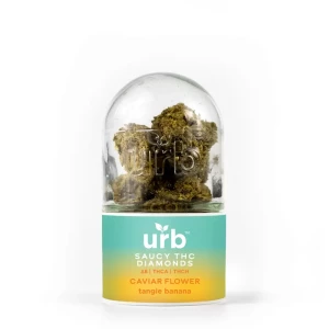 A glass container with Urb Saucy THC Diamond Caviar Flower 3.5g.