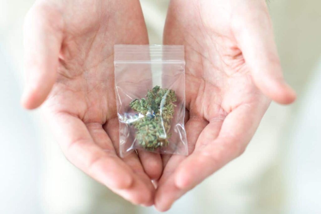 A guy showing right amount of marijuana Possession.