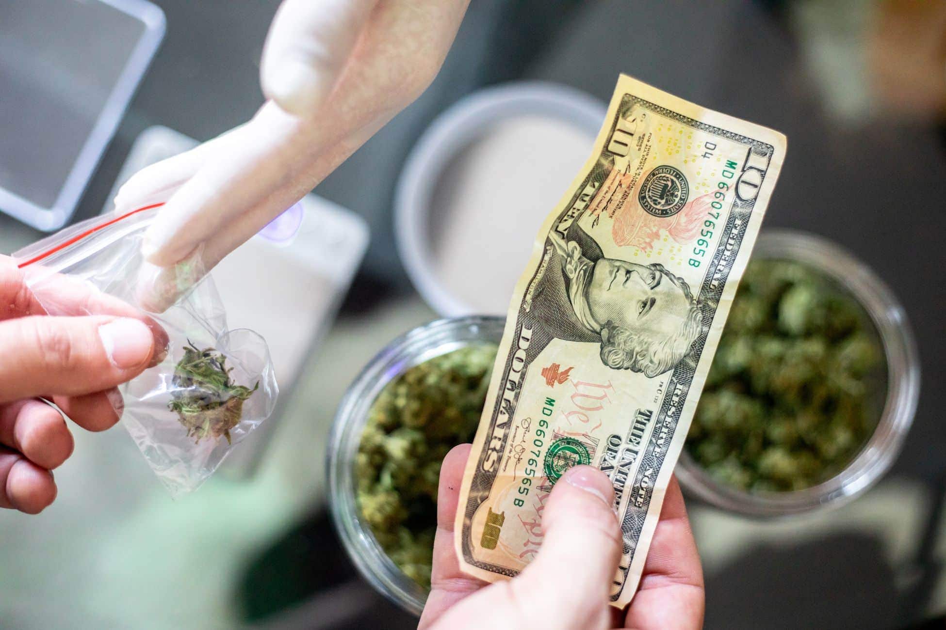 Buying weed and paying ten dollars for it Buying weed and paying ten dollars for it
