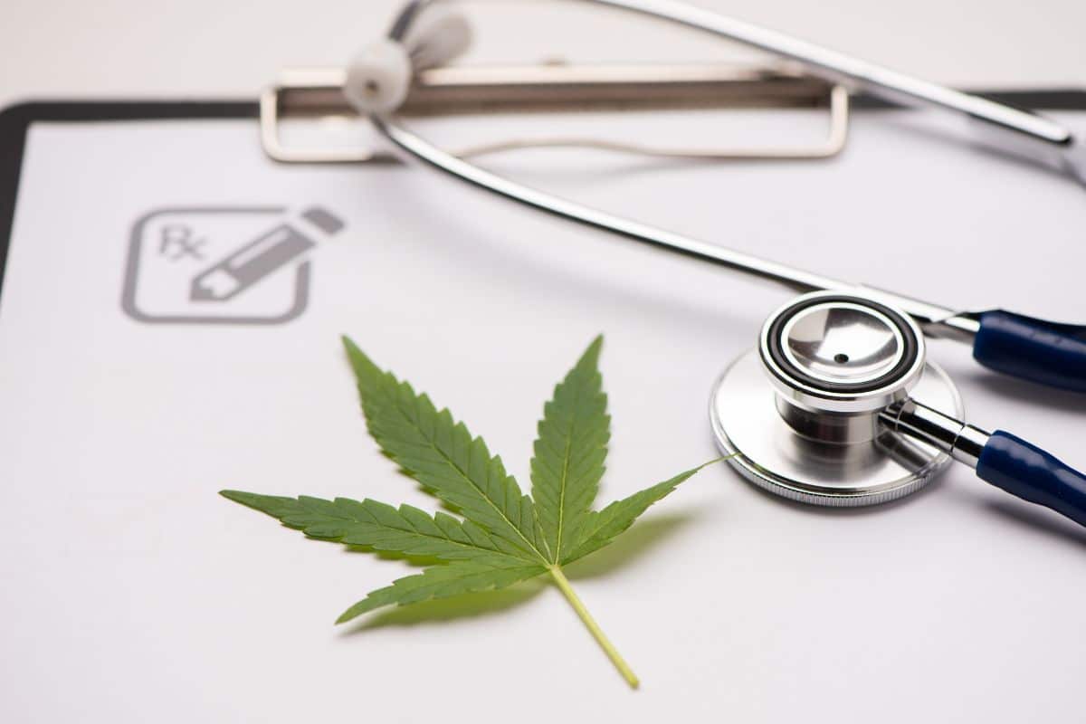 Medicinal marijuana leaf with stethoscope Medicinal marijuana leaf with stethoscope