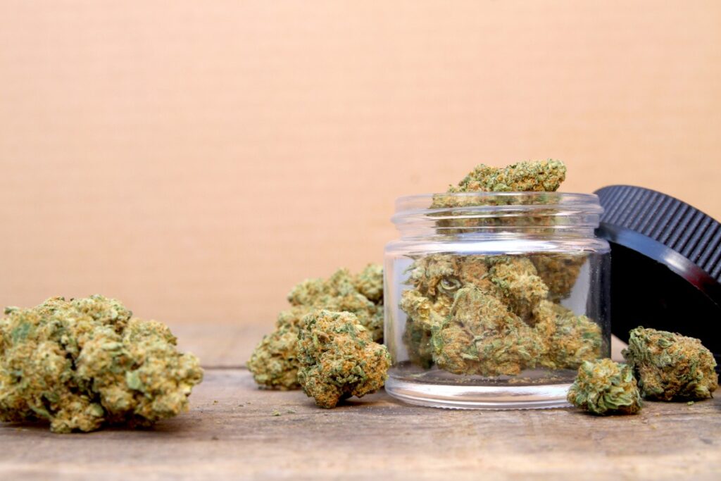 Zaza premium indoor flower shown in the image